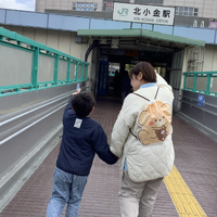 画像381